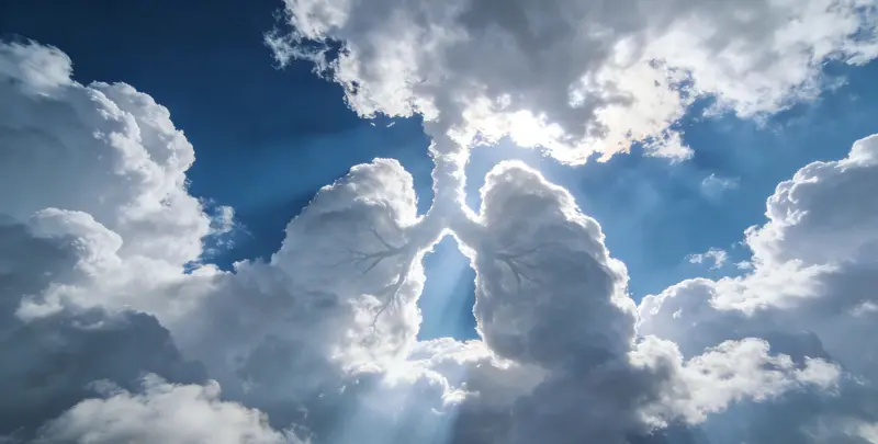 兴安盟肺癌8基因突变检测（组织）图片1