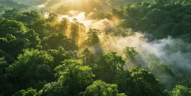 兴安盟肺癌49基因检测图片1
