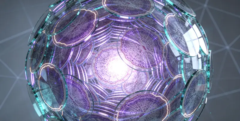 血液肿瘤综合检测 (完整版)图4